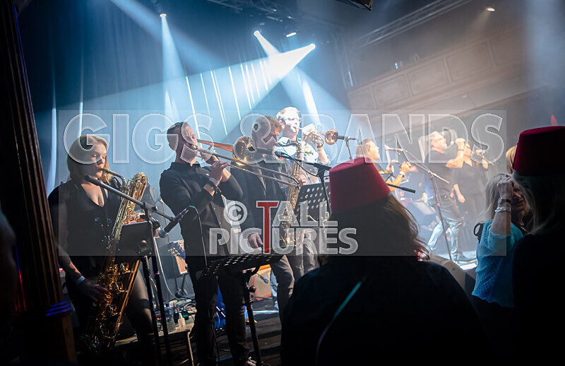 King Rat  the Soul Cats-512 - KING RAT & THE SOUL CATS