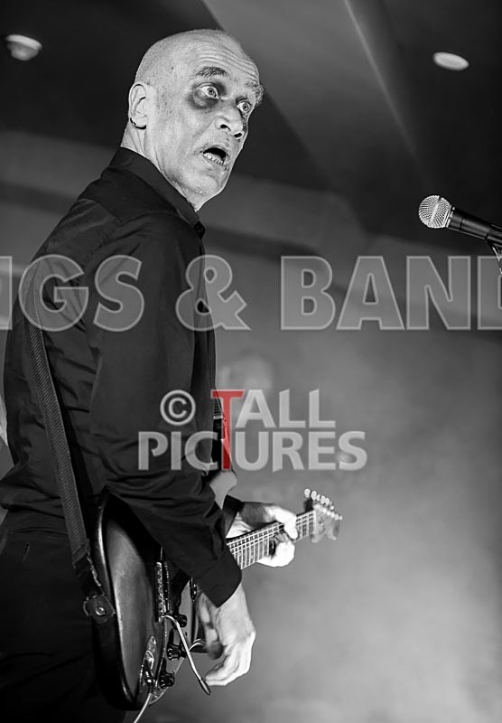 The Wilko Johnson Band-82 - THE WILKO JOHNSON BAND