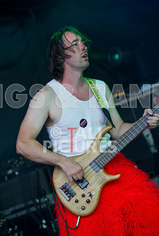 Toupe-26 - TOUPE at IVY CASTLE FAIR