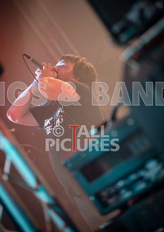 Foxy Stoat Seeks Pig-31 - FOXY STOAT SEEKS PIG