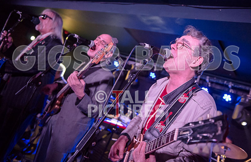 The Blockheads-8 - THE BLOCKHEADS