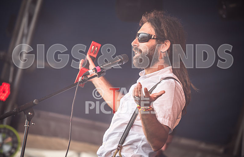 Benny the Moth-96 - BENNY THE MOTH