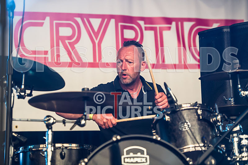 The Cryptics-44 - THE CRYPTICS