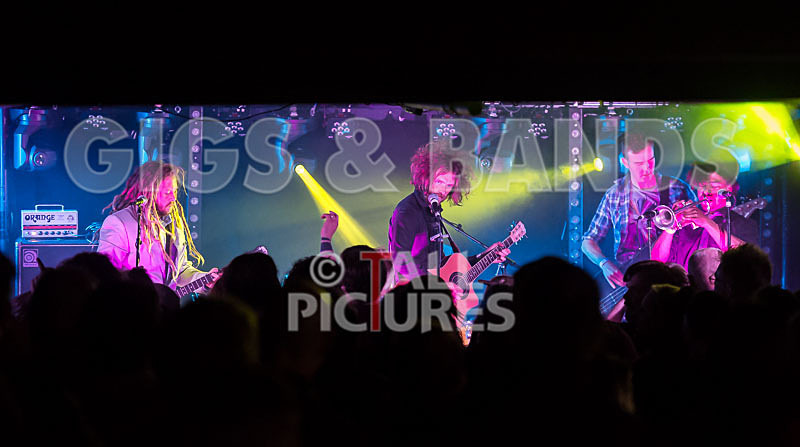 The Recks-236 - THE RECKS