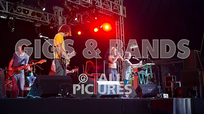 The Go Team-43 - THE GO! TEAM