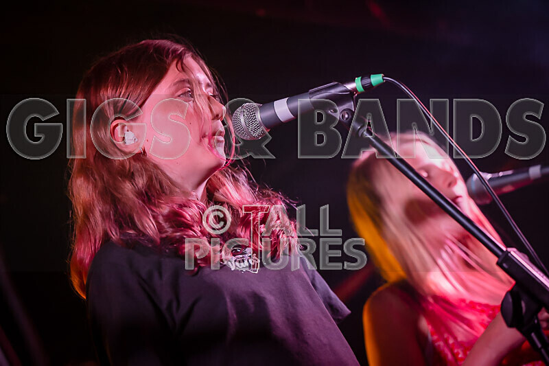 The Diehearts-5 - THE DIEHEARTS