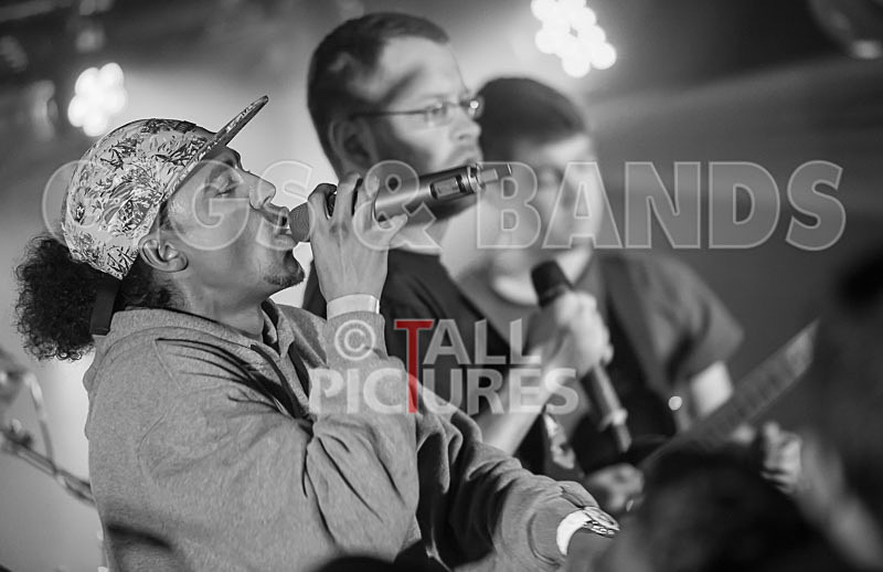 The Mouse Outfit-122 - THE MOUSE OUTFIT