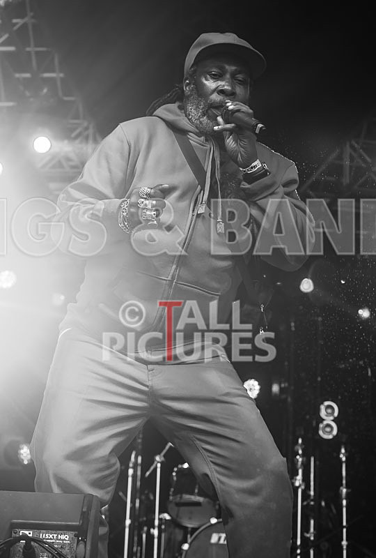 Prince Fatty Soundsystem-6 - PRINCE FATTY SOUNDSYSTEM