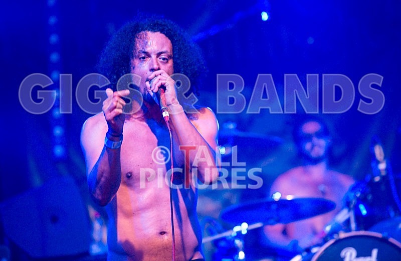 Chaos 2013_Harlequin Knights-17 - HARLEQUIN KNIGHTS