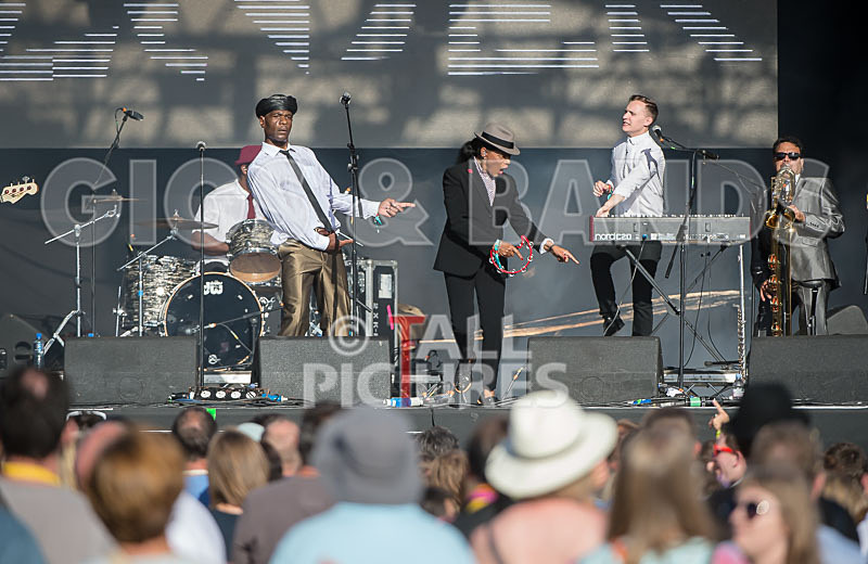 The Selecter-39 - THE SELECTER