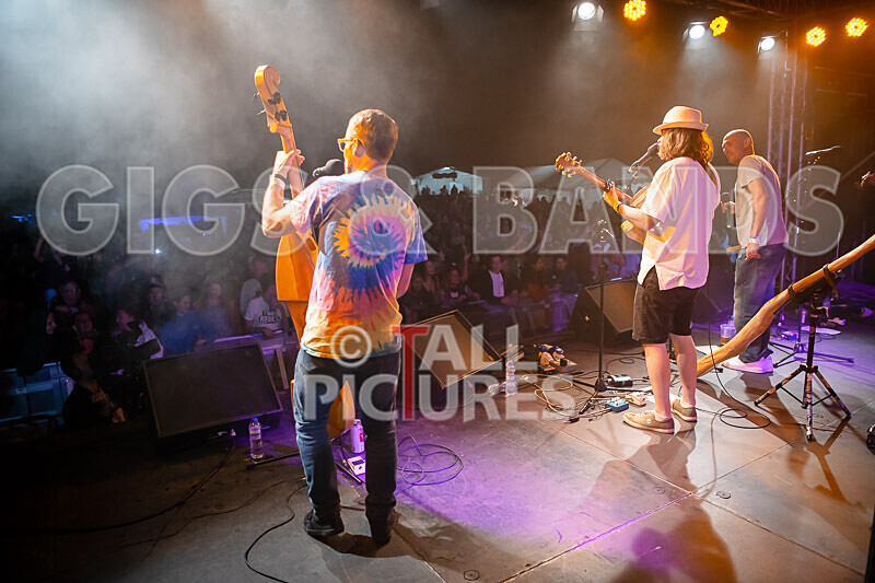 Buffalo Huddleston-657 - BUFFALO HUDDLESTON