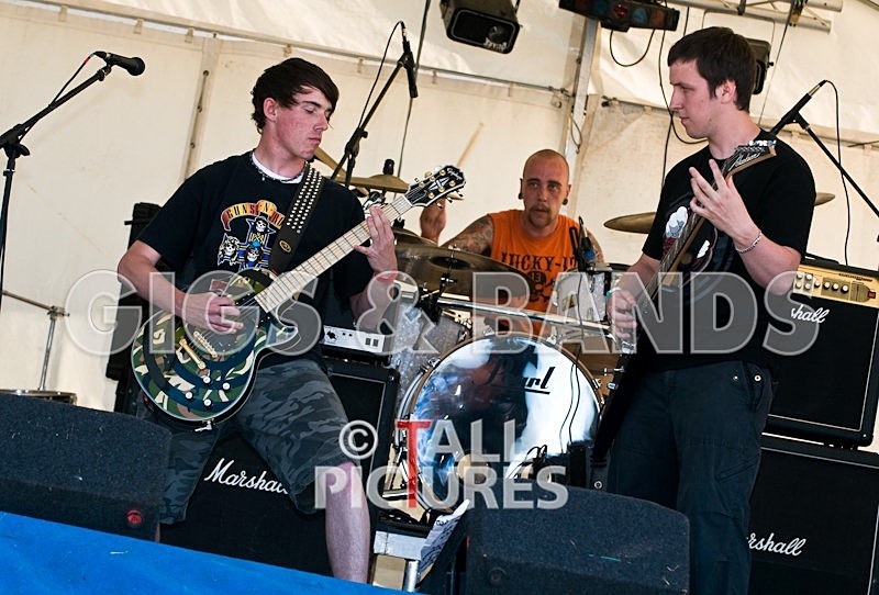 Greenman_Music-345 - GREENMAN CHAOS FESTIVAL 2008 BANDS