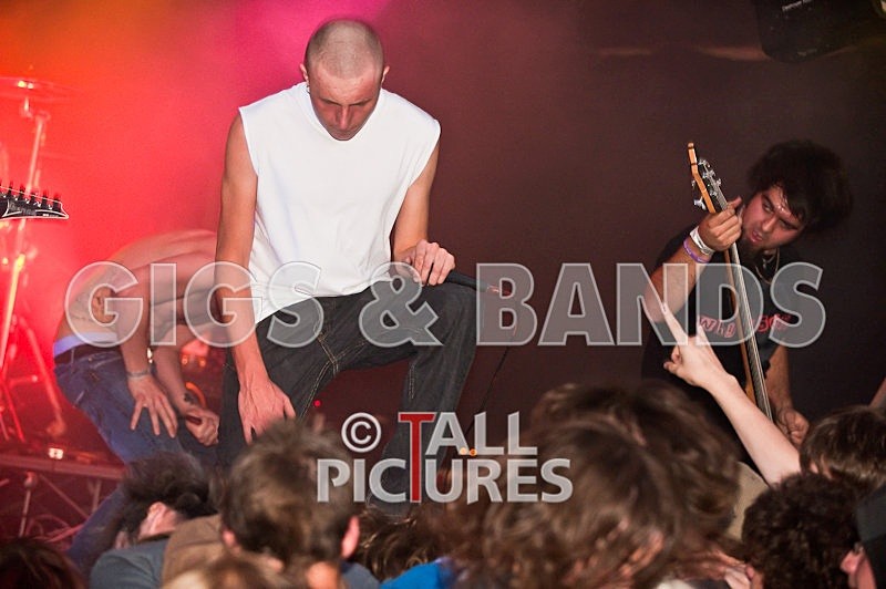 Elmer Henley-98 - VALE EARTH FAIR 2009
