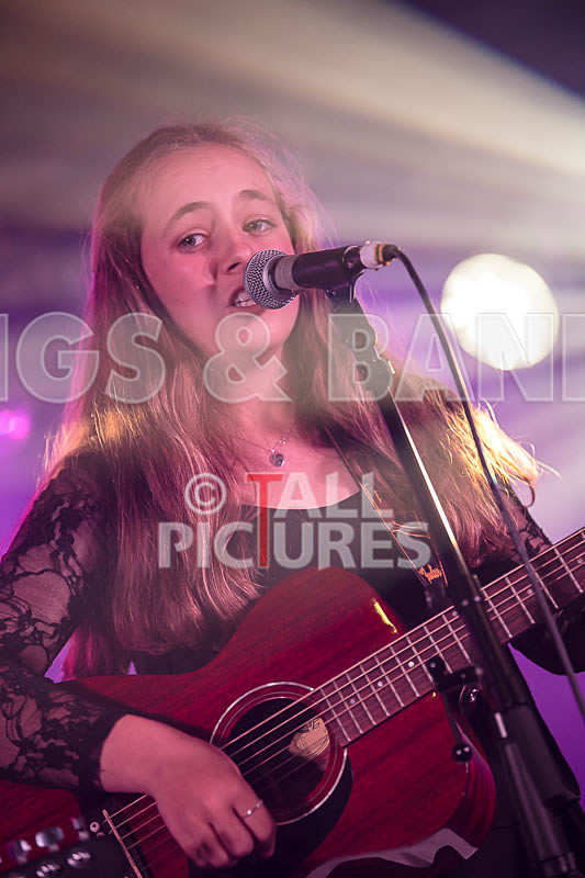 Lady and the Tramps-27 - LADY AND THE TRAMPS