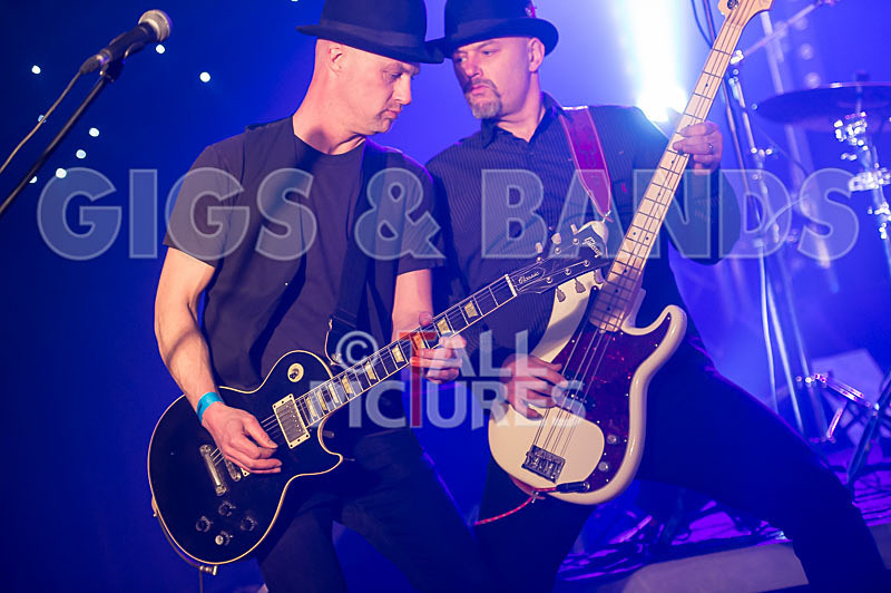 Peppered Ant Legs-166 - PEPPERED ANT LEGS