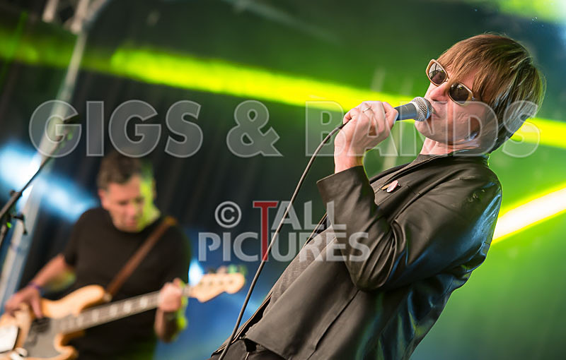 The Cryptics-49 - THE CRYPTICS