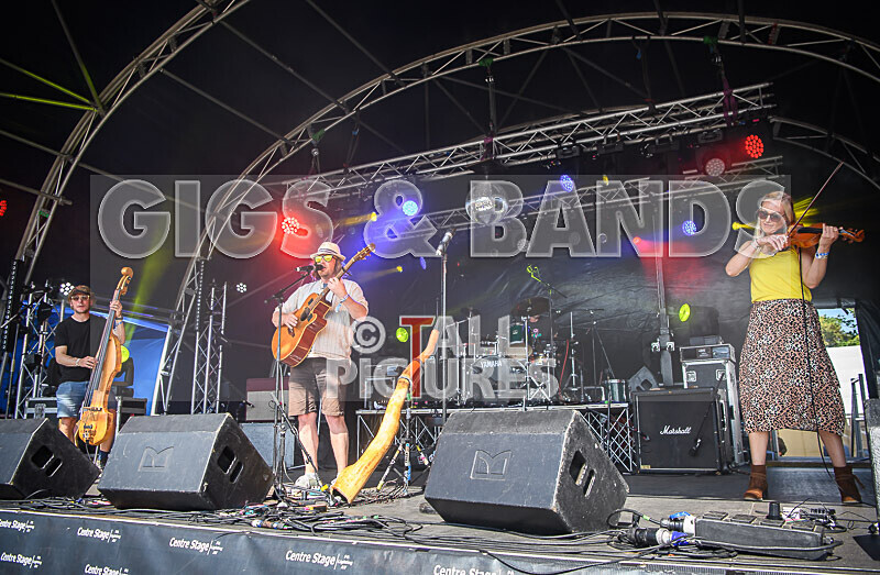 Buffalo Hudleston-722 - BUFFALO HUDLESTON