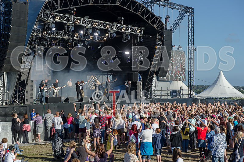 The Selecter-25 - THE SELECTER