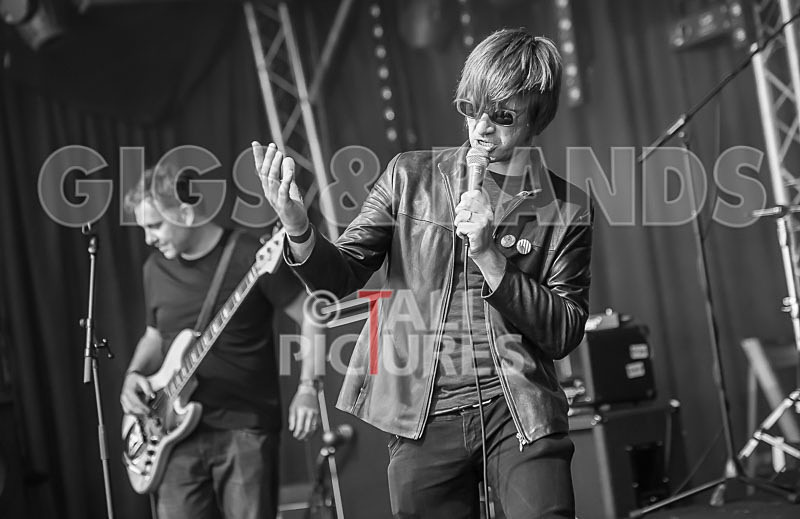 The Cryptics-63 - THE CRYPTICS