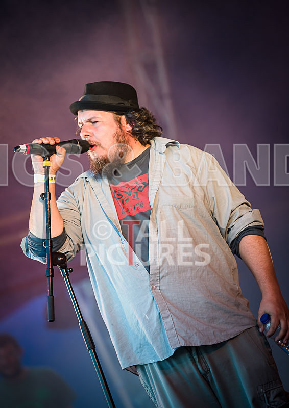 Vale Earth Fair 2017_SCENE-44 - VALE EARTH FAIR 2017_THE SCENE