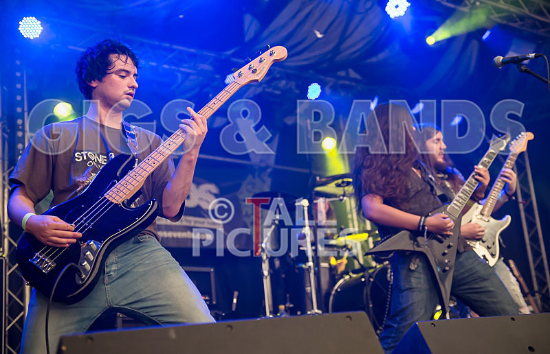 Stone Em All-232 - STONE EM ALL