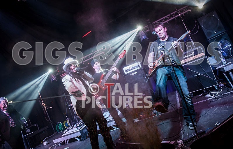 Gallus Cooper-72 - GALLUS COOPER