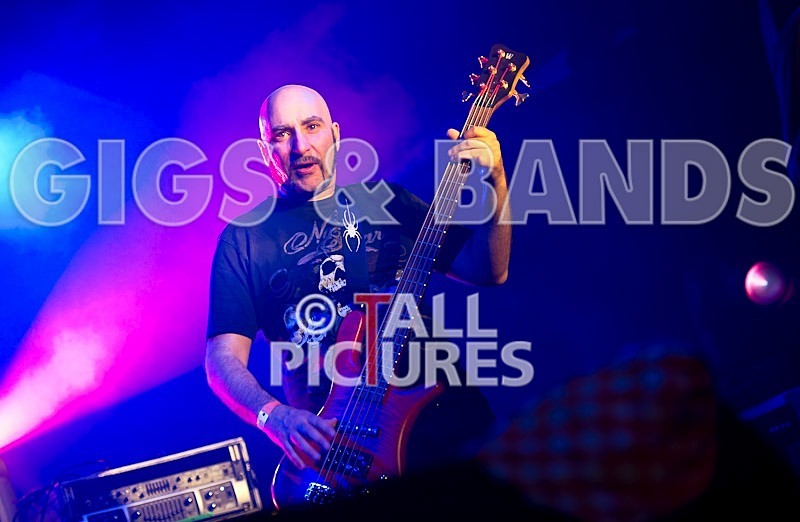 Breed77-30 - BREED77