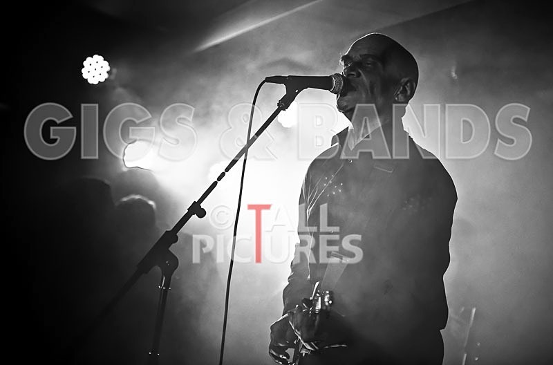 The Wilko Johnson Band-89 - THE WILKO JOHNSON BAND
