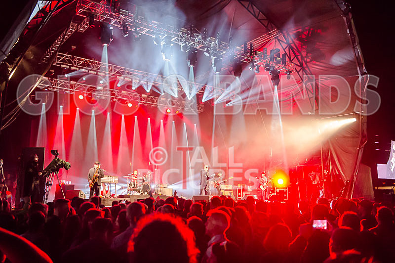 Madness-42 - MADNESS