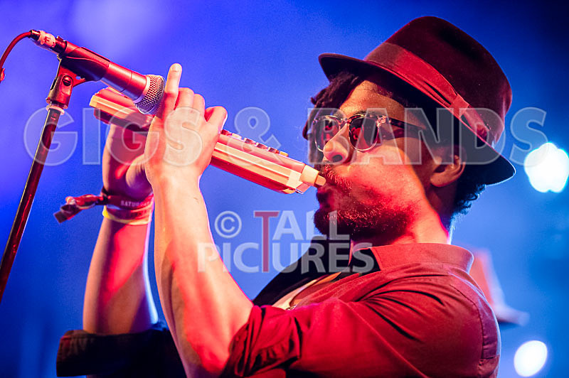 The Recks-826 - THE RECKS