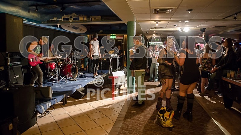 Harlequin Knights-61 - HARLEQUIN KNIGHTS