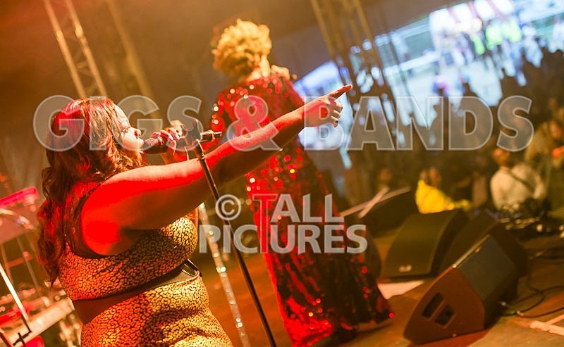 Macy Gray-50 - MACY GRAY