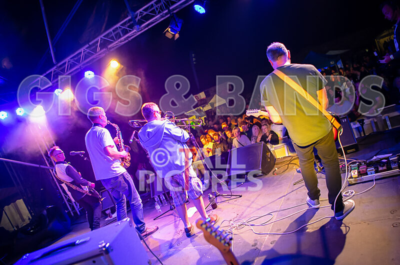 The Risk-466 - THE RISK