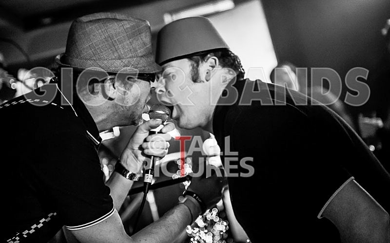 Sons of the Desert-168 - SONS OF THE DESERT