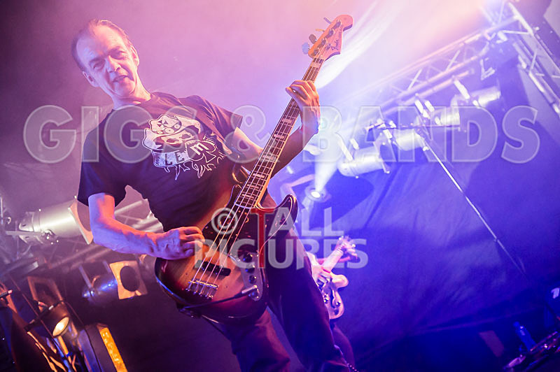 The Electric Shakes-108 - THE ELECTRIC SHAKES