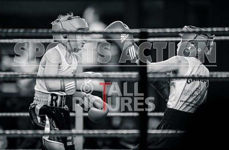 BOUT-1_Rio Gaudion v William Harty-3 - BOUT-1_Rio Gaudion v William Harty