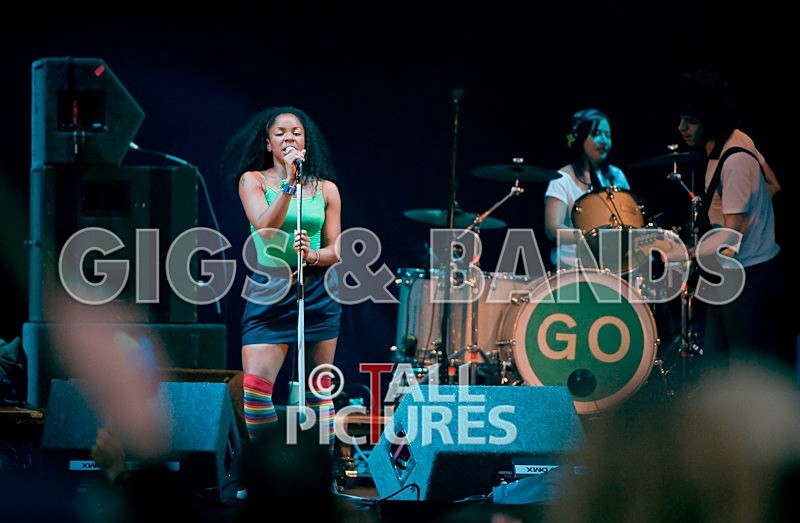 Go Team-13 - THE GO! TEAM