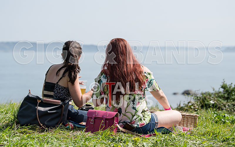 Vale Earth Fair 2017_SCENE-12 - VALE EARTH FAIR 2017_THE SCENE