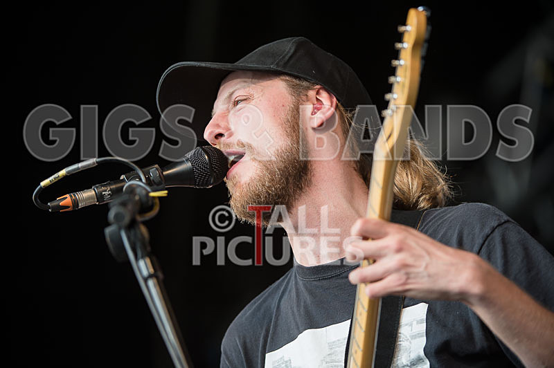 Spring King-11 - SPRING KING