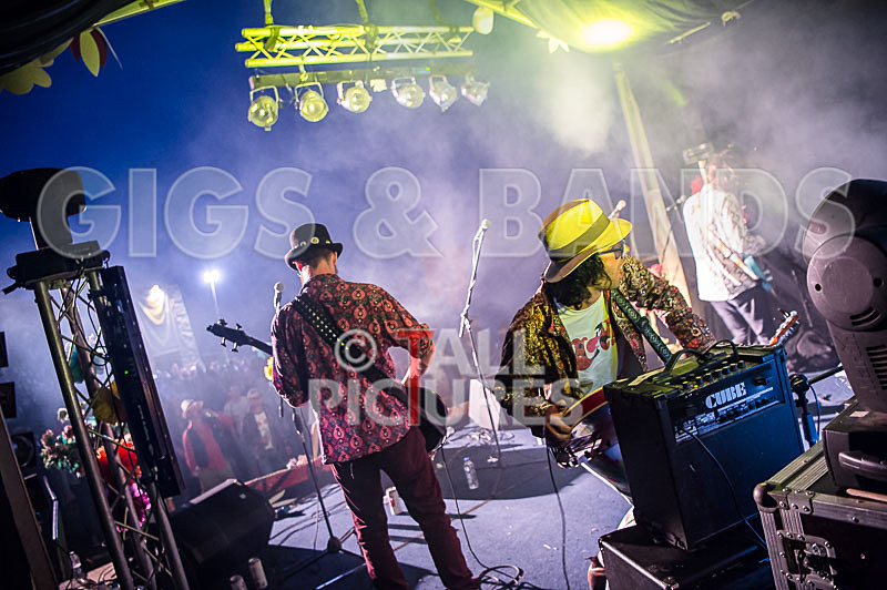 Surfin Birds-20 - SURFIN' BIRDS