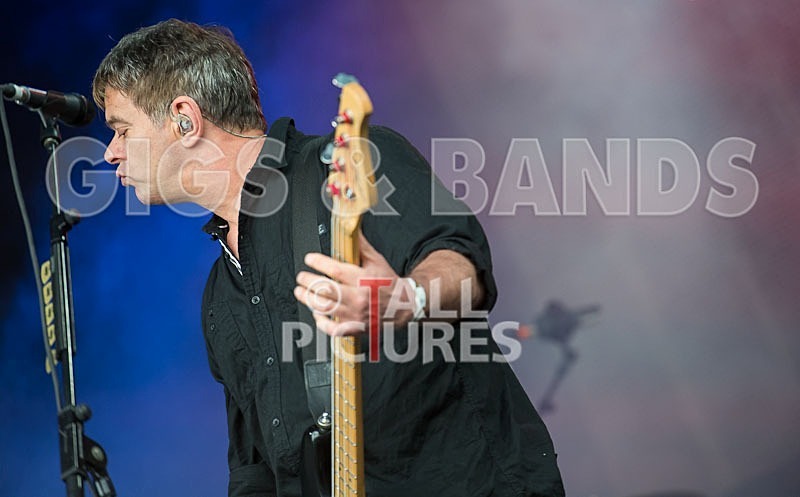 The Stranglers-24 - THE STRANGLERS