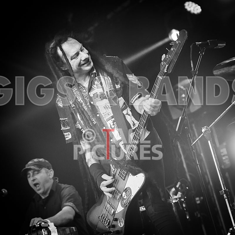 Levellers-25 - LEVELLERS