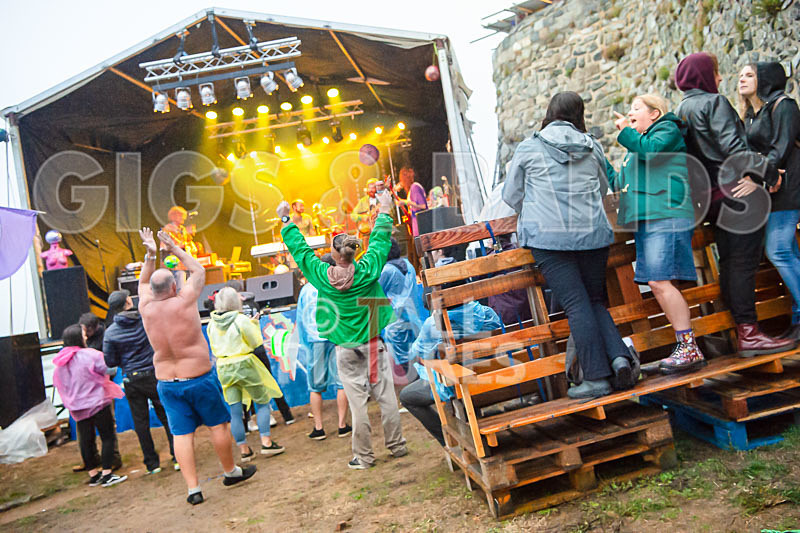 Vale Earth Fair 2018_SCENE-1 - VALE EARTH FAIR 2018_THE SCENE