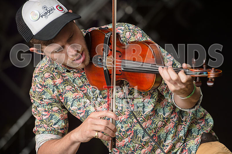 Molotov Jukebox-41 - MOLOTOV JUKEBOX