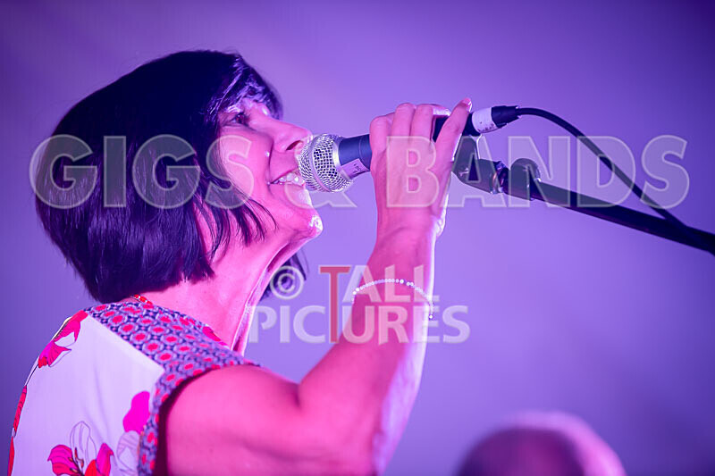 Gig for Colin-116 - CHARITY 'GIG FOR COLIN' 2019