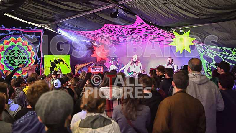 The Recks-664 - THE RECKS