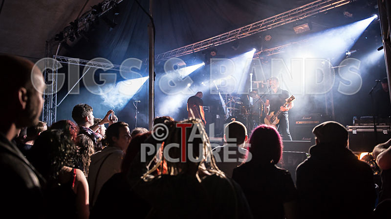 Therapy--17 - THERAPY?