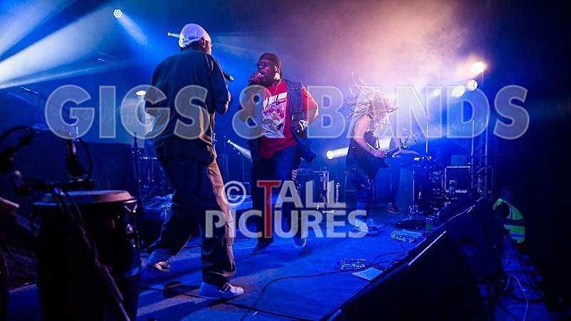 Roots Manuva-35 - ROOTS MANUVA