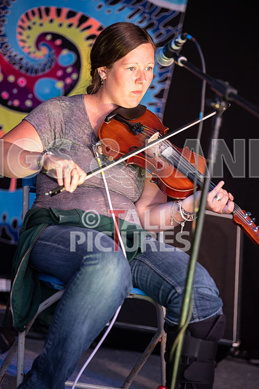 Seigneur Hedge Veg-14 - SEIGNEUR HEDGE VEG