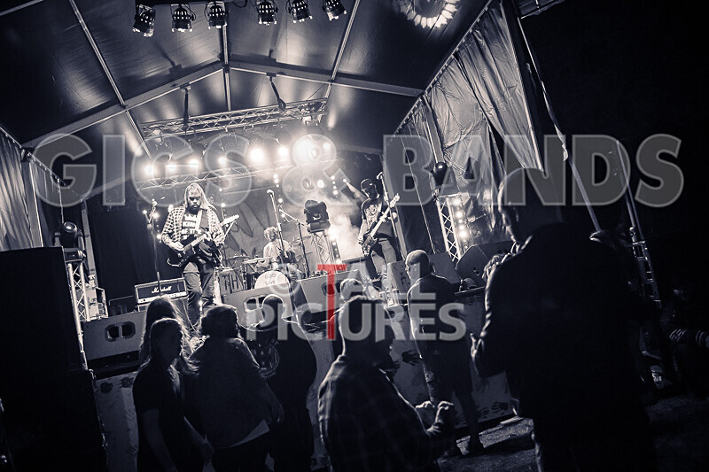 To the Woods-453 - TO THE WOODS